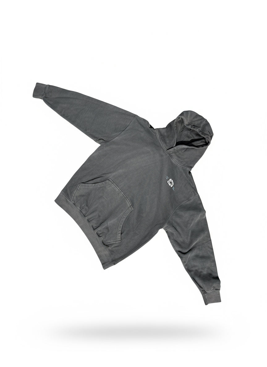 “THE BLUE LOGO” hoodie